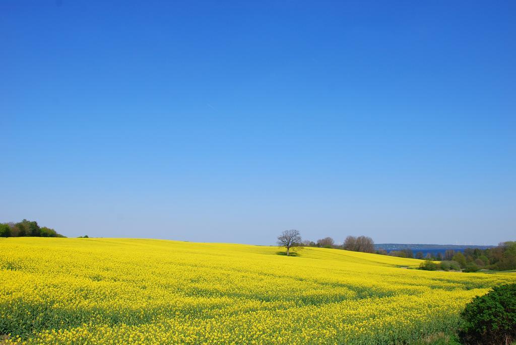 Meine Ecke 1 Eckernförde Exteriér fotografie